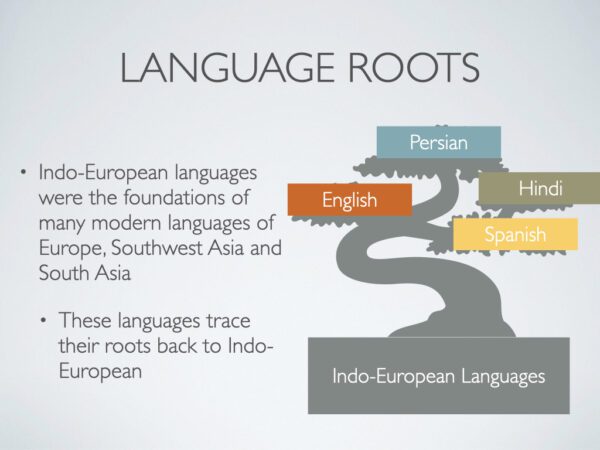 A slide showing the roots of indo-european languages.